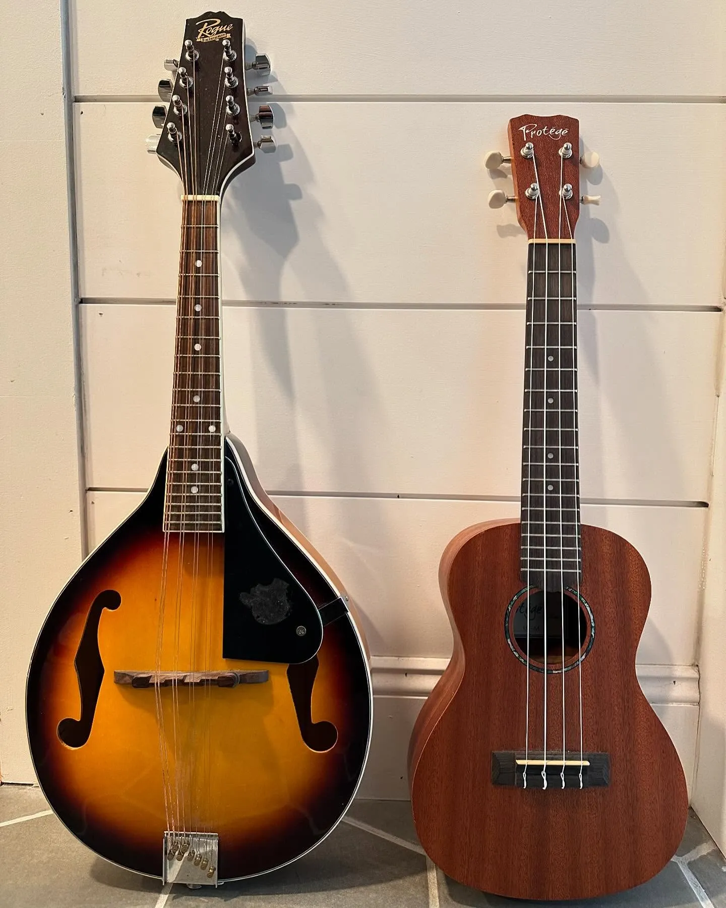 Mandolin and ukulele at R. Ray Guitars in Newport Beach